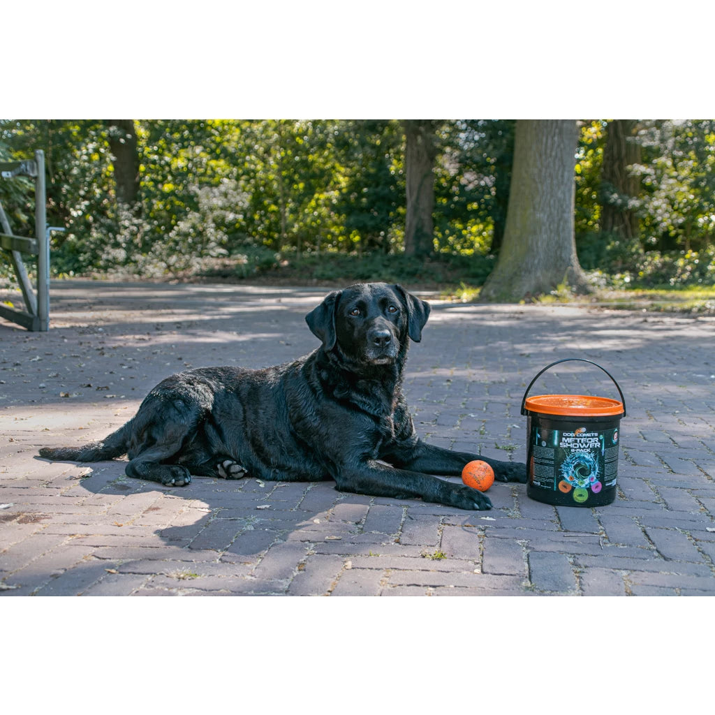 Dog Comets Meteor Shower