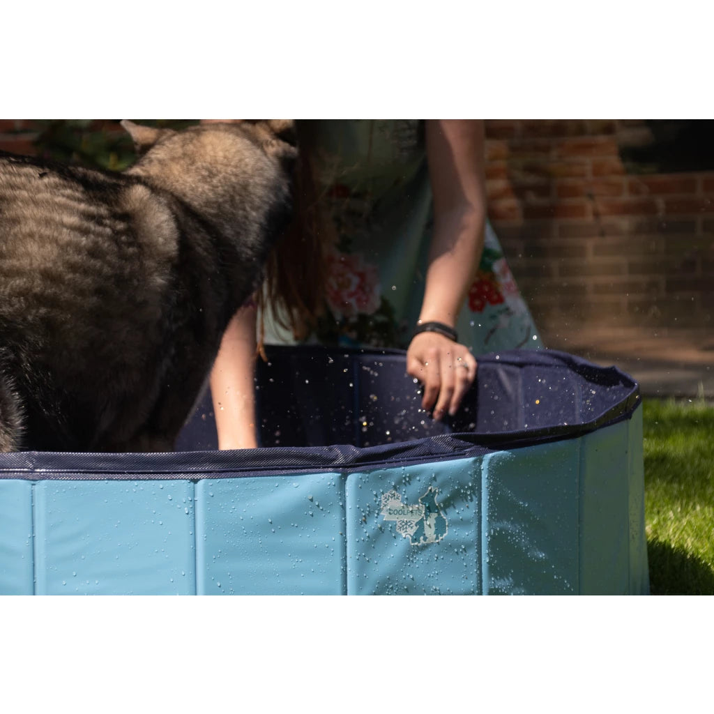CoolPets Pool