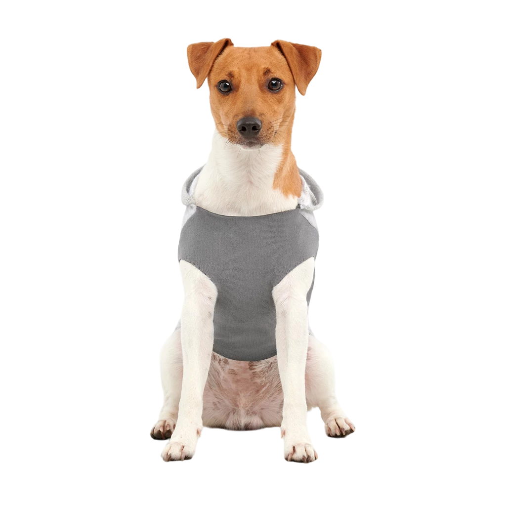Goo-eez Kangaroo Fleece Hoodie