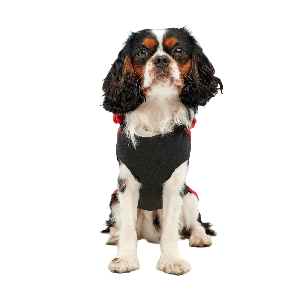Goo-eez Kangaroo Fleece Hoodie