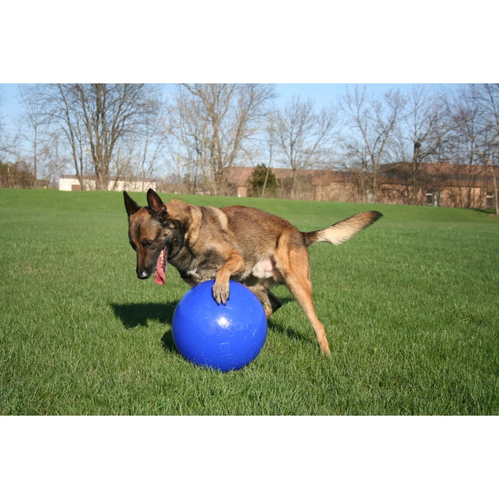 Jolly Ball Push-n-Play