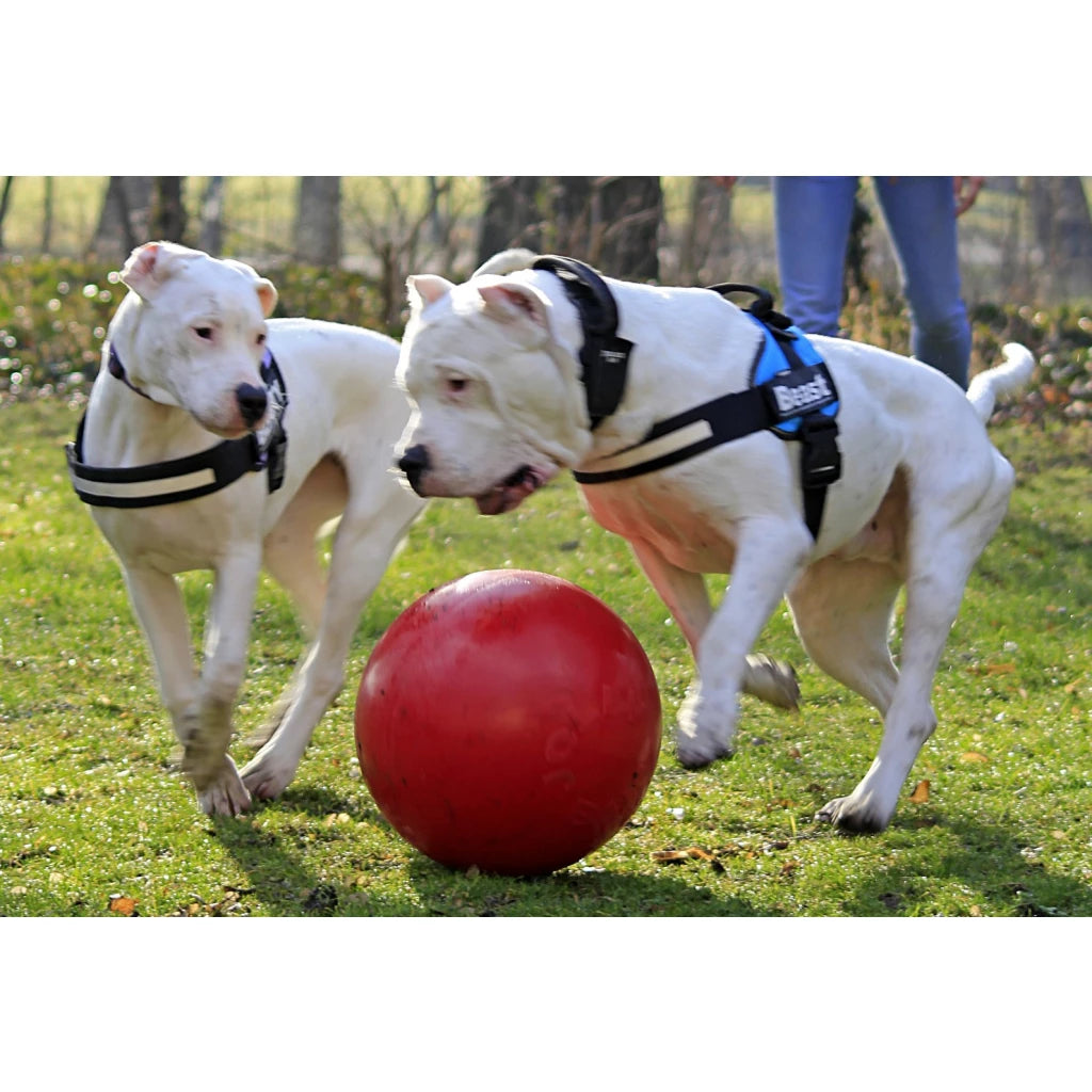 Jolly Ball Push-n-Play