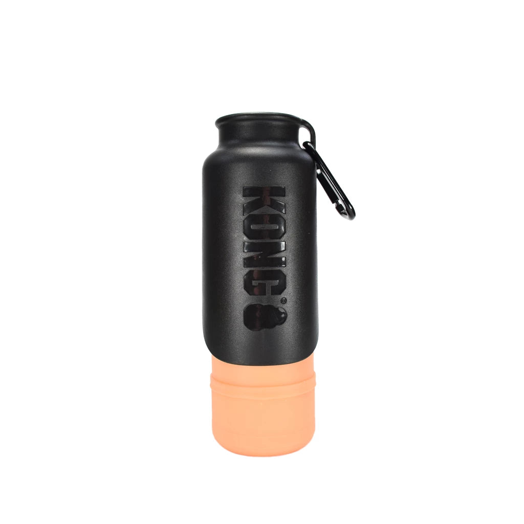 KONG H2O 700 ml isolierte Wasserflasche
