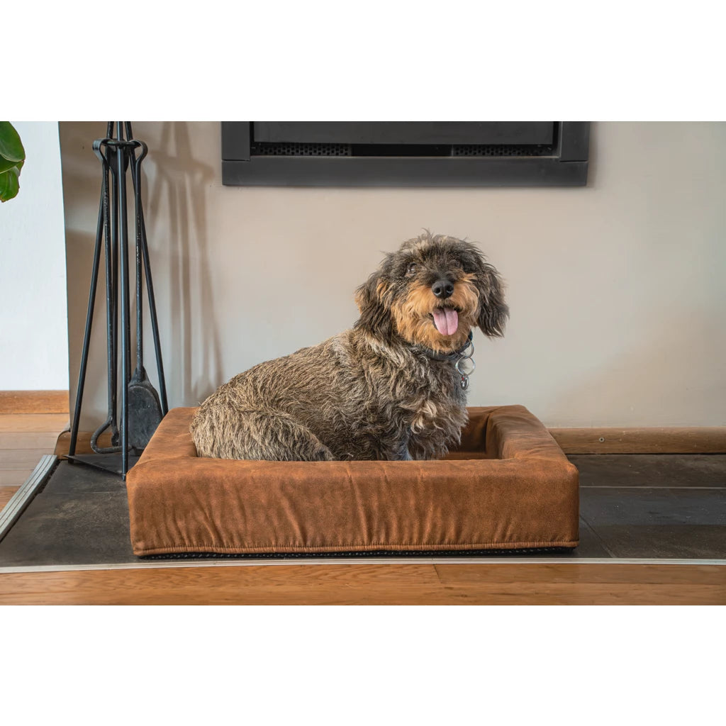 Let’s Sleep Comfy Cushion Hundekissen
