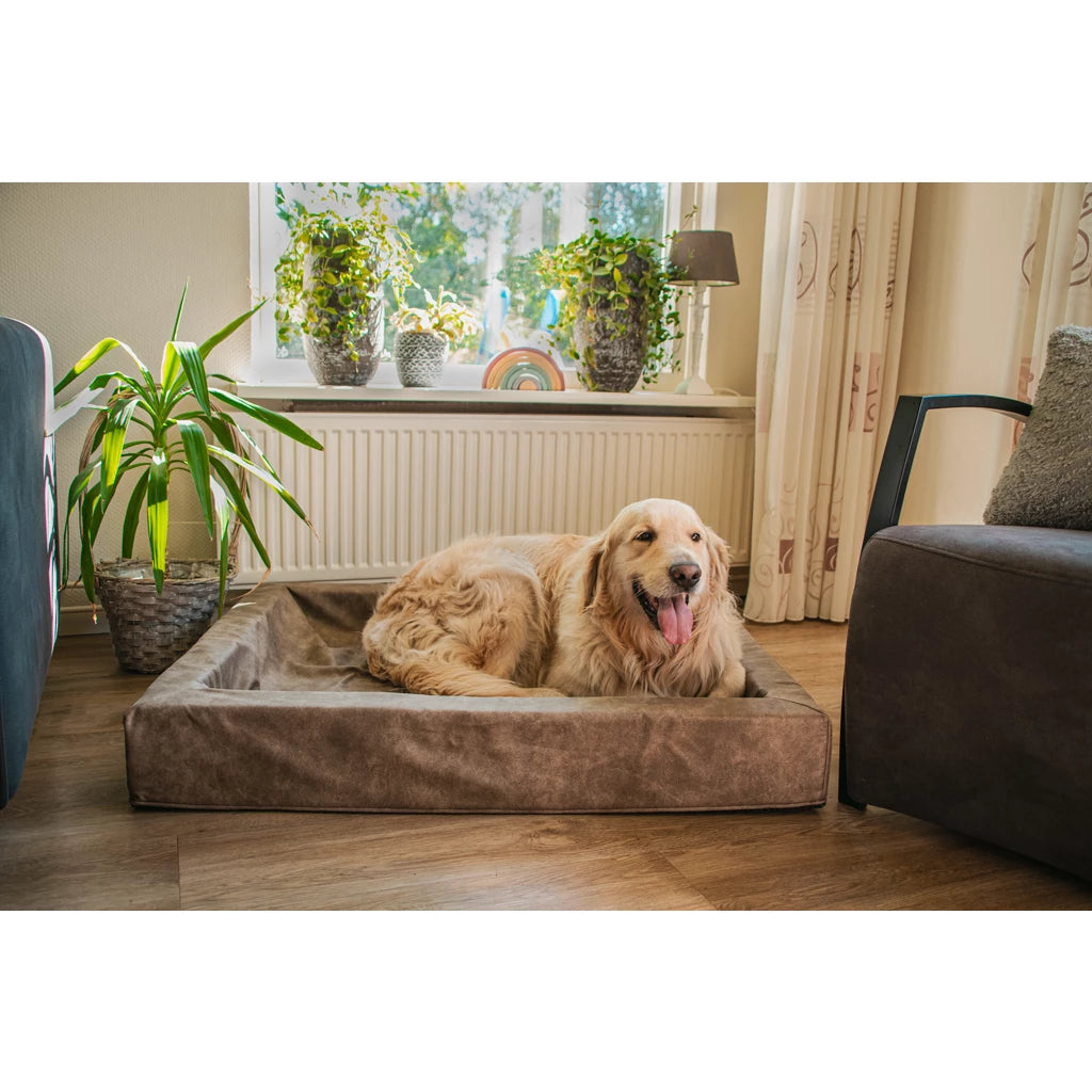 Let’s Sleep Comfy Cushion Hundekissen