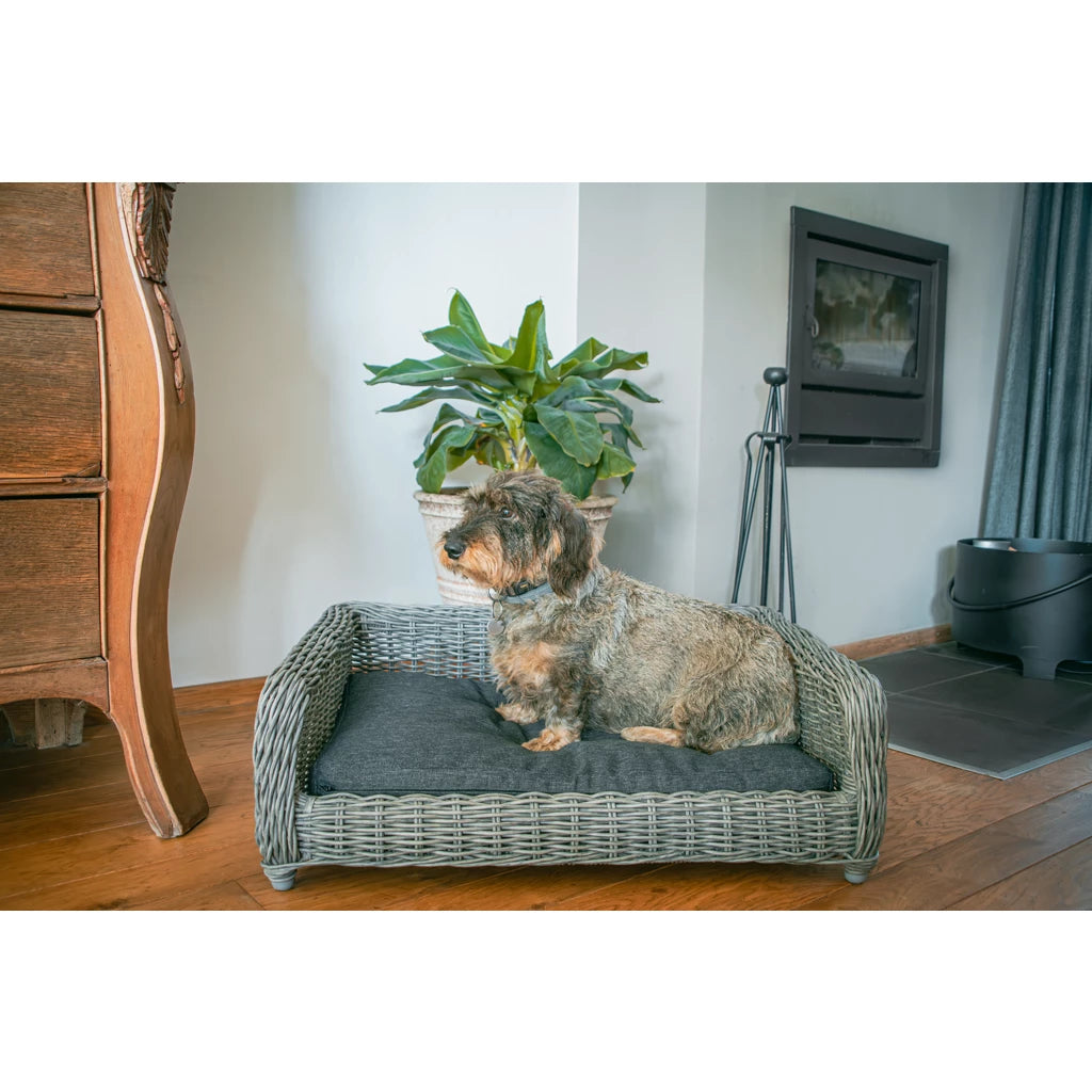 Let’s Sleep Cozy Basket Weidenkorb Hundebett