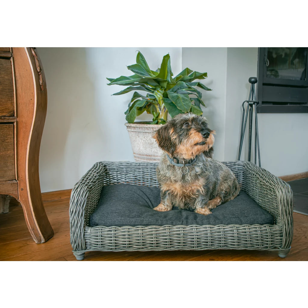 Let’s Sleep Cozy Basket Weidenkorb Hundebett