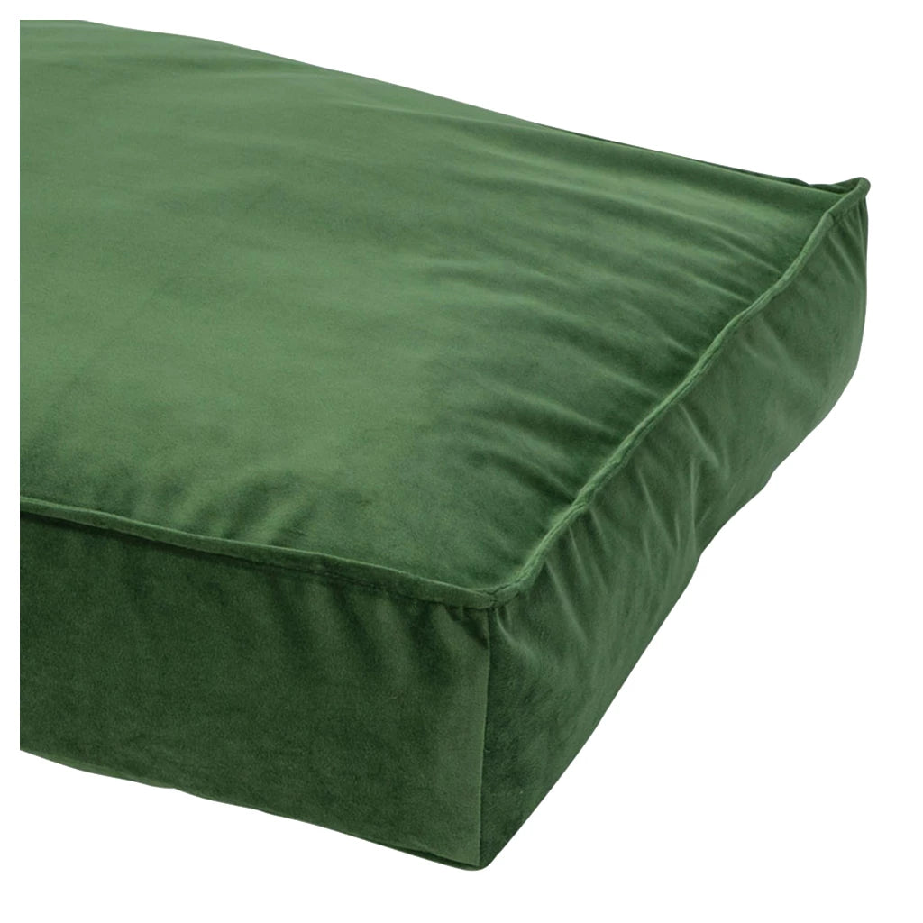 Madison Velours Lounge Kissen