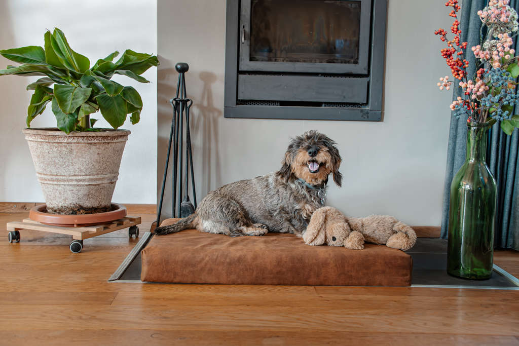 Let’s Sleep Mellow Mattress Orthopädisches Hundematratze