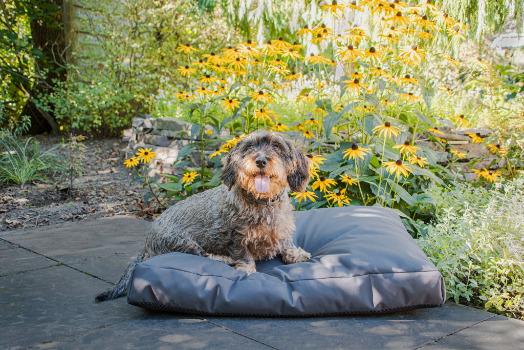 Let’s Sleep Cushy Cloud Outdoor Hundebett