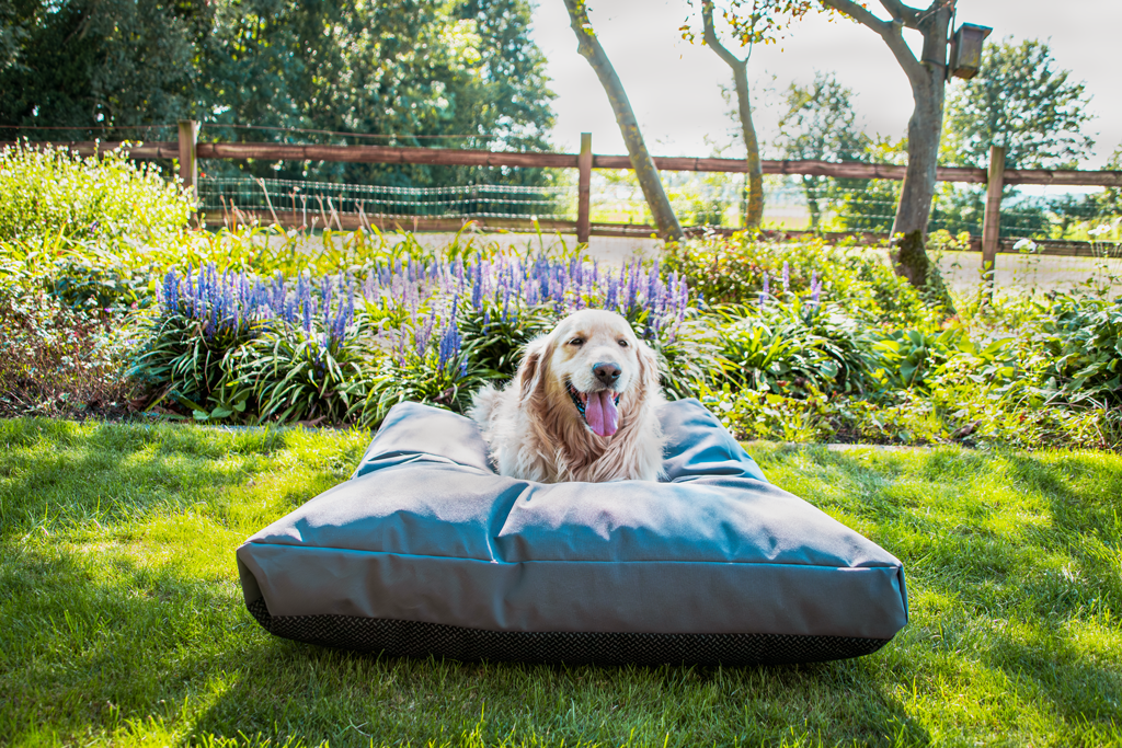 Let’s Sleep Cushy Cloud Outdoor Hundebett