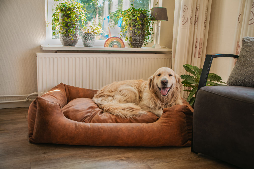 Let’s Sleep Sweet Dreams Hundekorb mit Kissen