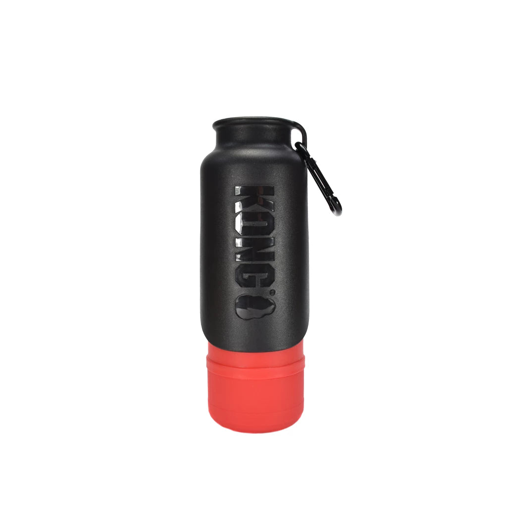 KONG H2O 700 ml isolierte Wasserflasche