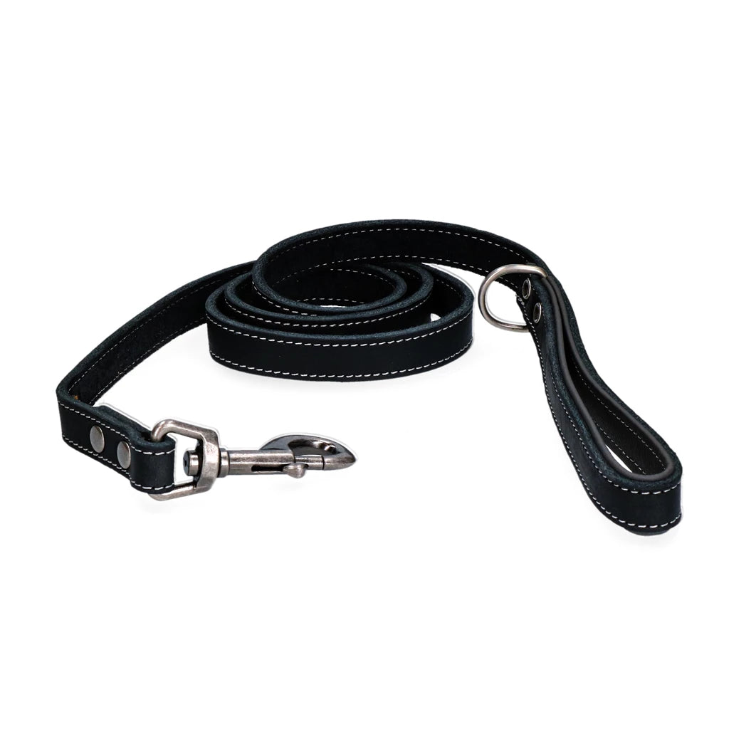 Spotted! Pro Leder Hundeleine Schwarz